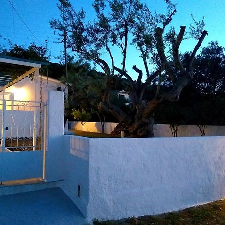 Skala Central House Ngoại thất bức ảnh